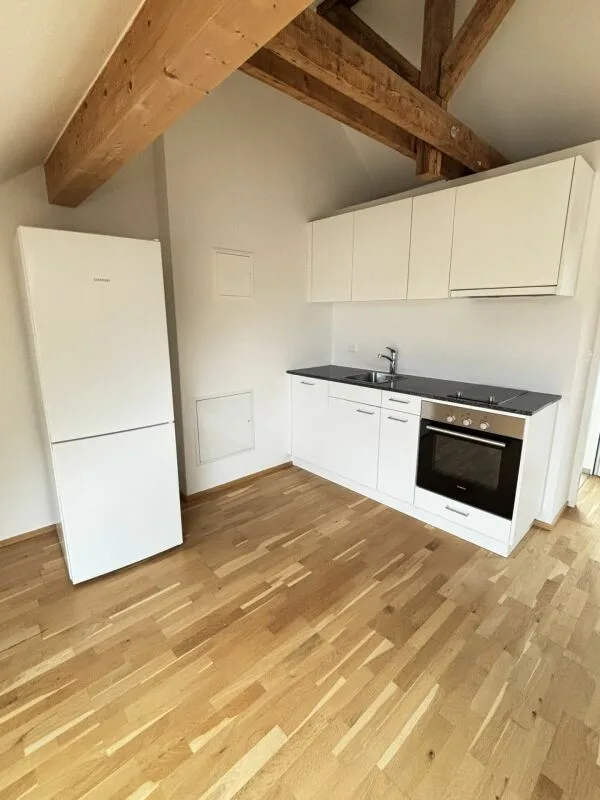 Geräumige moderne 1.5-Zimmer-Loftwohnung