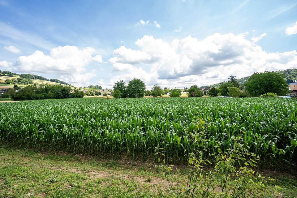 Spazio di stoccaggio facilmente accessibile a Reinach AG