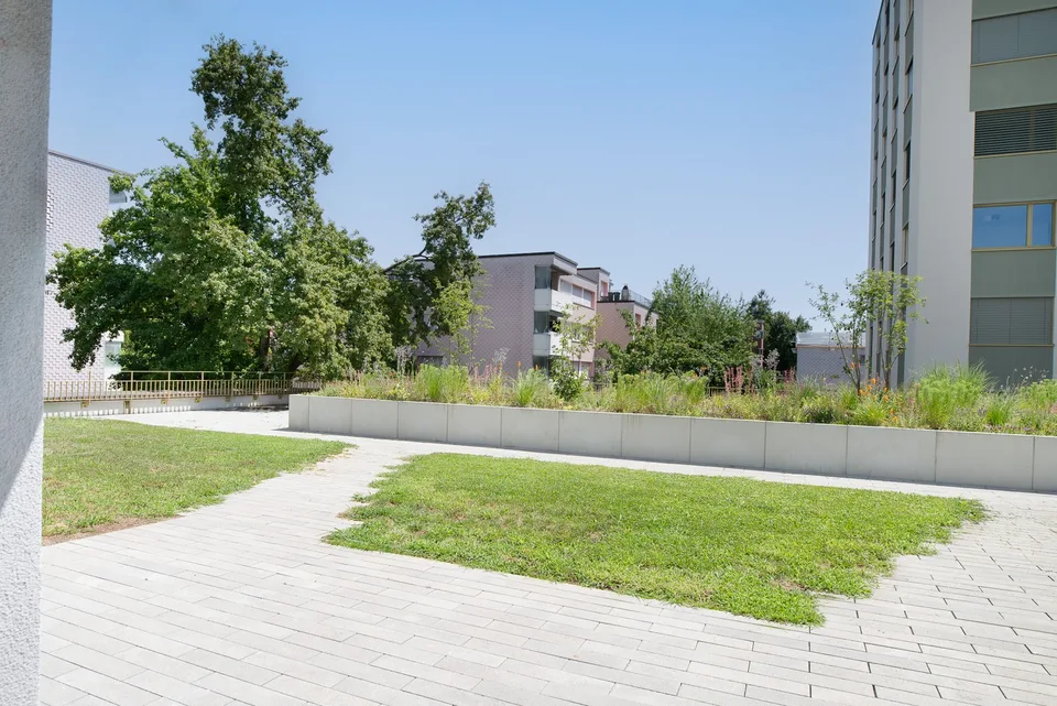 Renovierte 3- Zimmerwohnung in Spreitenbach zu vermieten!