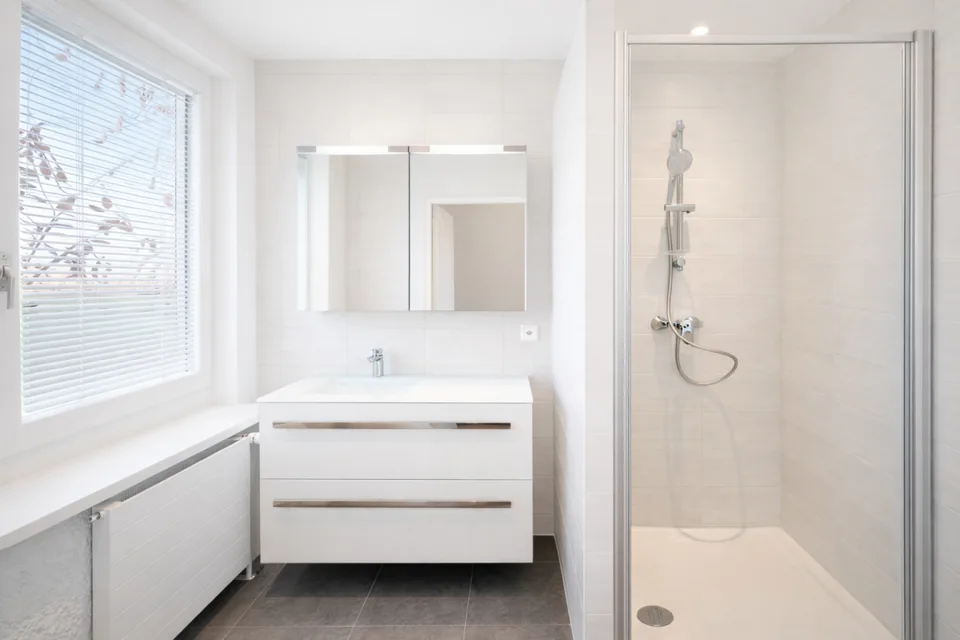 Appartement entièrement rénové en 2026 - Volumes atypiques avec double suite parentale à Puplinge