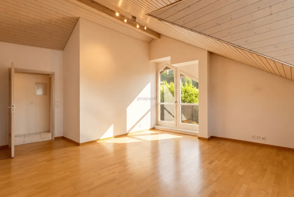 Lichtdurchflutete Wohnung in Buchs