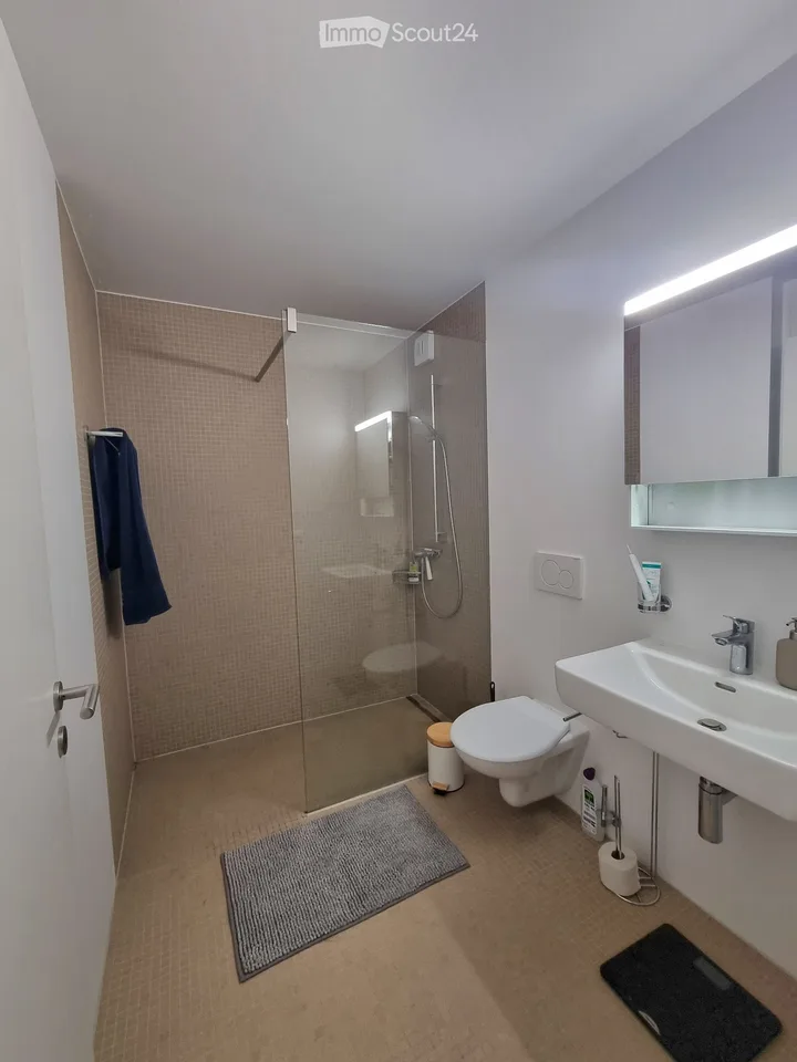 Appartement 1.5 pièce à louer à Bex