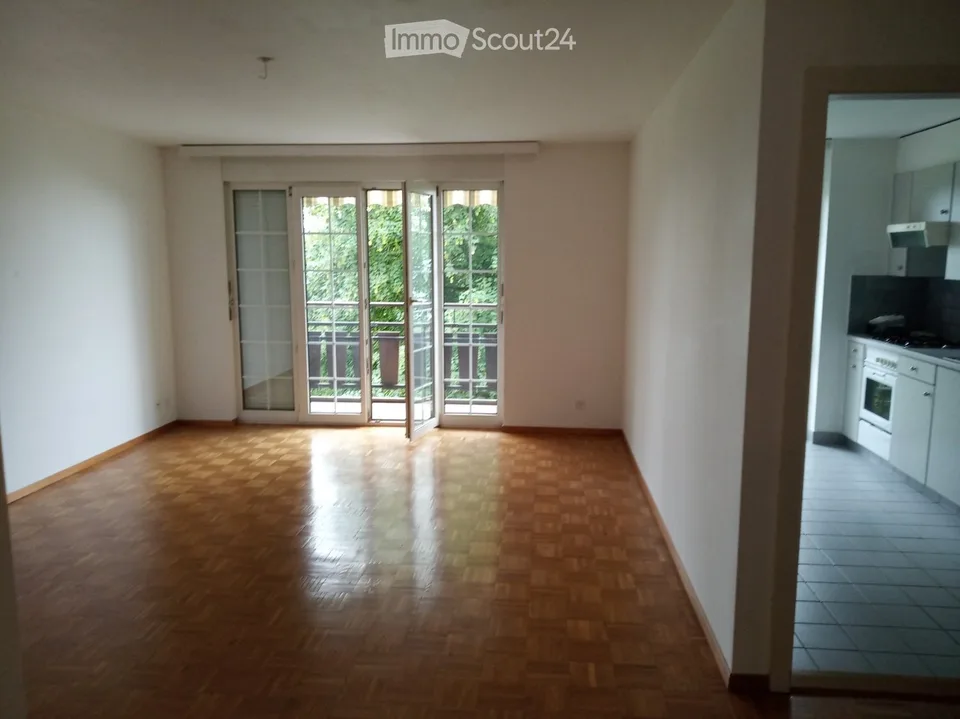 Vue lac 3.5 p à louer Blonay