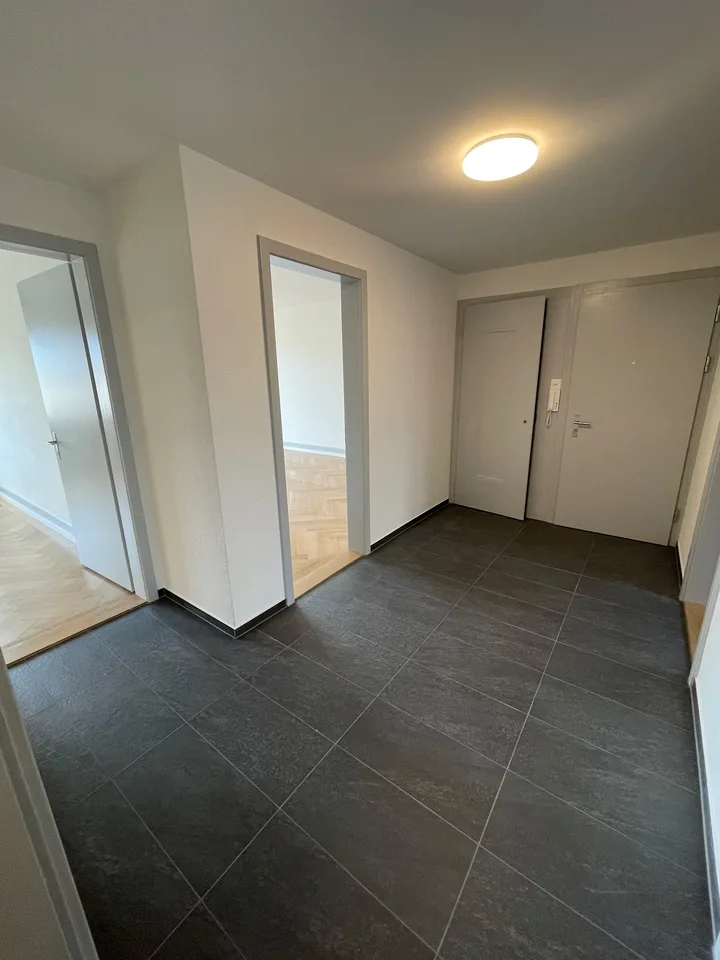 Grosszügige 3-Zimmerwohnung mit grosser Loggia nähe Insel zu vermieten