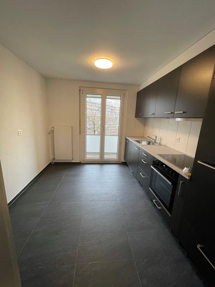Grosszügige 3-Zimmerwohnung mit grosser Loggia nähe Insel zu vermieten