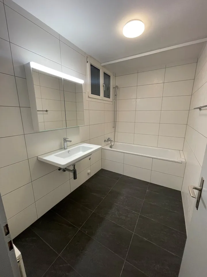 Grosszügige 3-Zimmerwohnung mit grosser Loggia nähe Insel zu vermieten