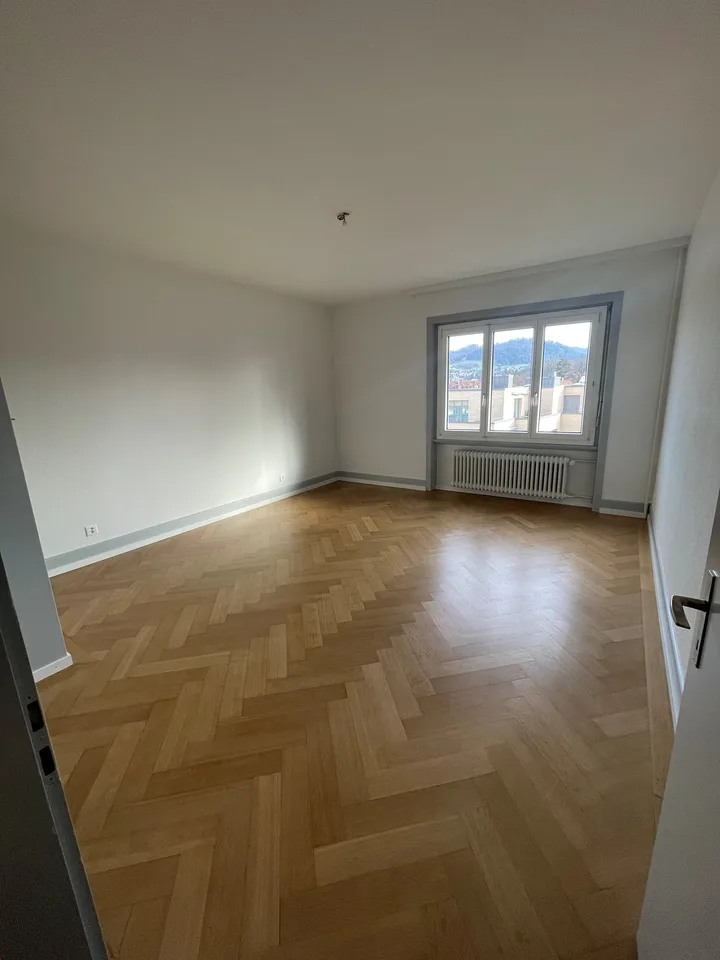Grosszügige 3-Zimmerwohnung mit grosser Loggia nähe Insel zu vermieten