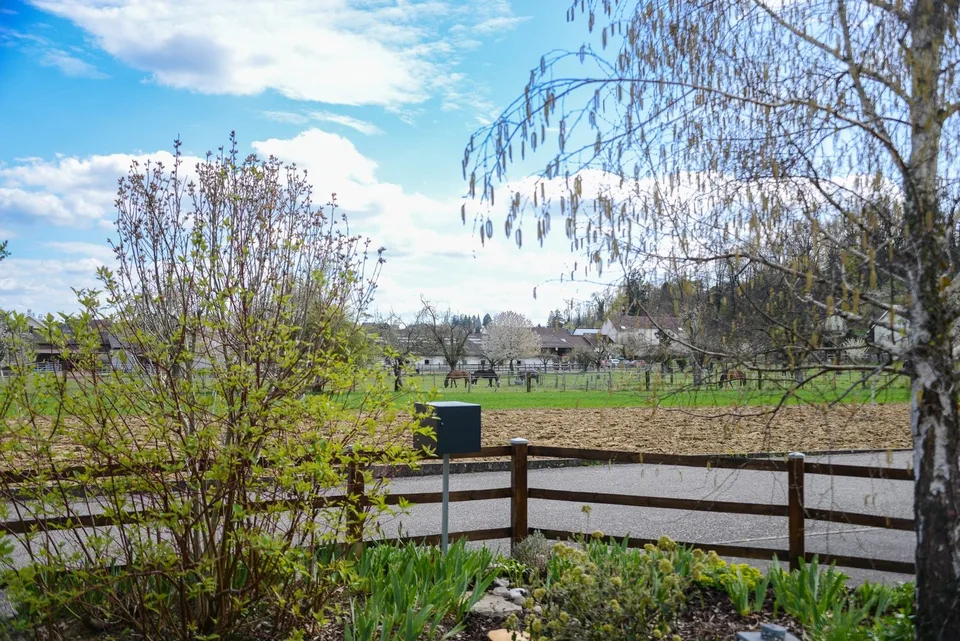 EXKLUSIVES EINFAMILIENHAUS AM WALDRAND – RUHE, NATUR & NÄHE ZU BASEL