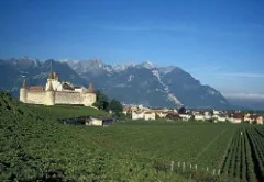 Suite à l'incendie de Aigle, propriétaire bienveillant loue une maison