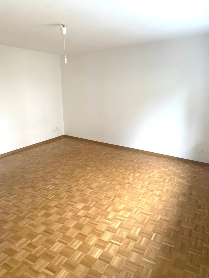 Appartement single confortable dans un emplacement attractif à Zurich Höngg!