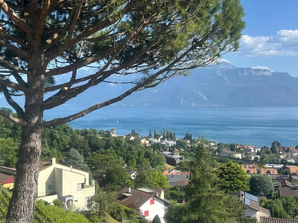 Le lac, les vignes et Lutry à vos pieds! – photo 13 sur 16