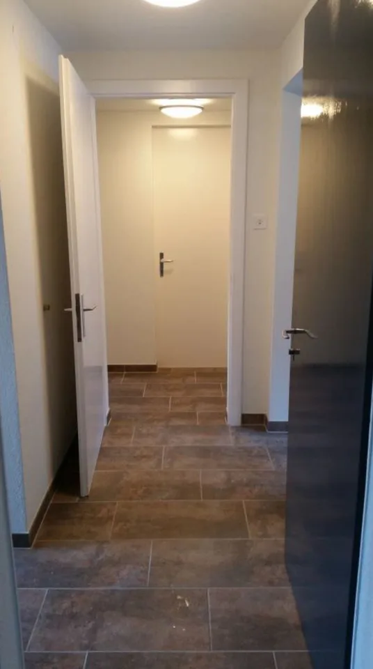 MFH mit 6 Einheiten und Bergsicht in Grächen kaufen