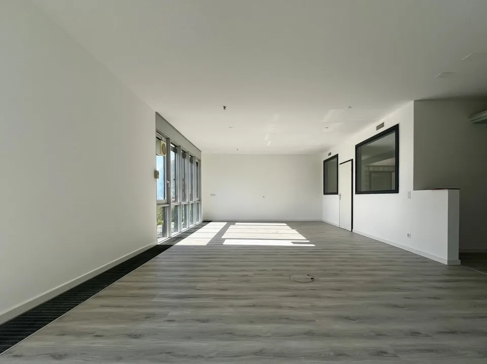 LUGANO - SPACIOUS OFFICE WITH LAKE VIEW, 217 SQM