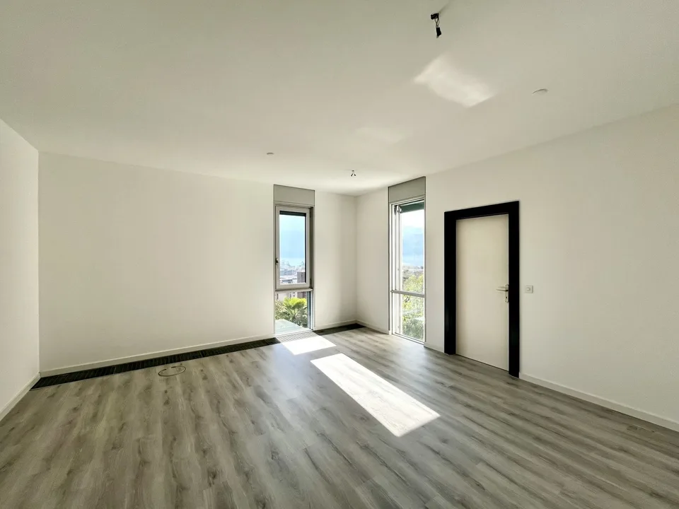 LUGANO - SPACIOUS OFFICE WITH LAKE VIEW, 217 SQM