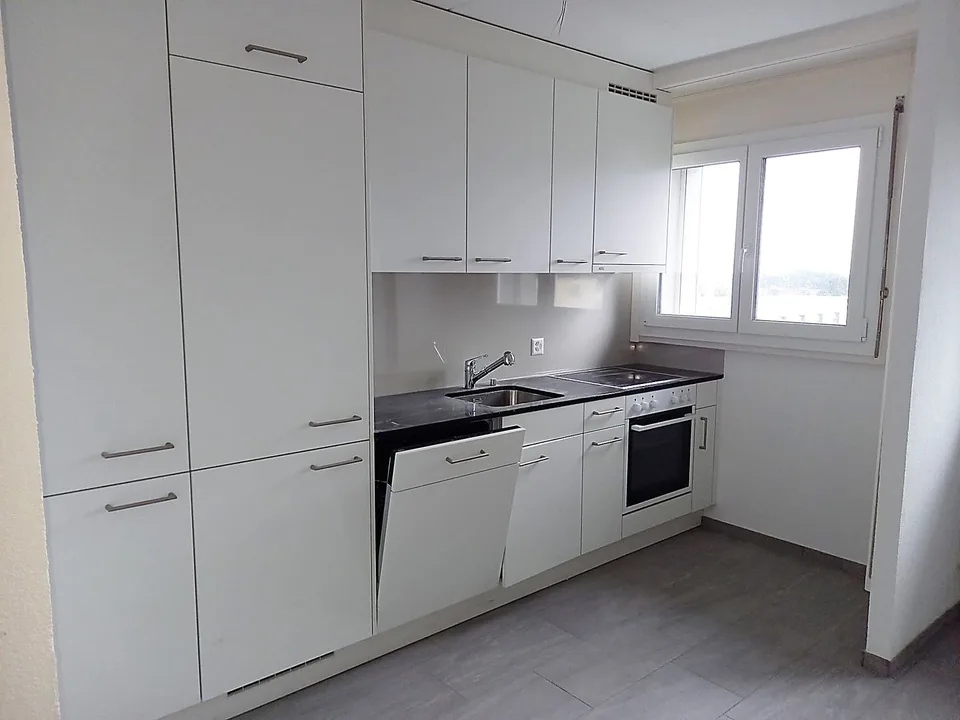 Zona residenziale tranquilla con vista sulla valle del Reno
