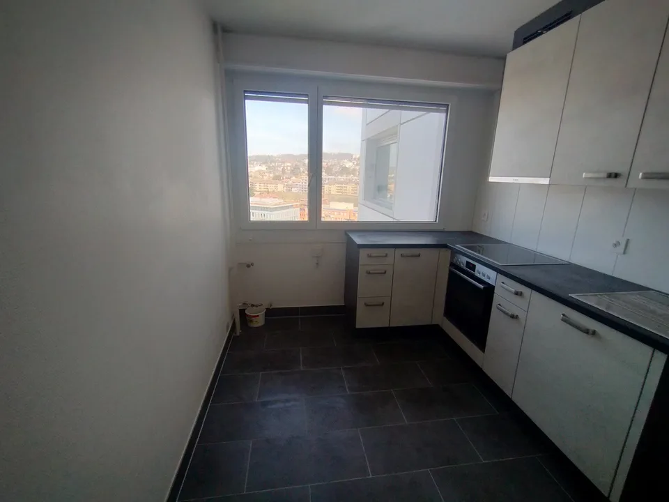 Im Zentrum von Malley prächtiges renoviertes Apartment mit Balkon und Aussicht