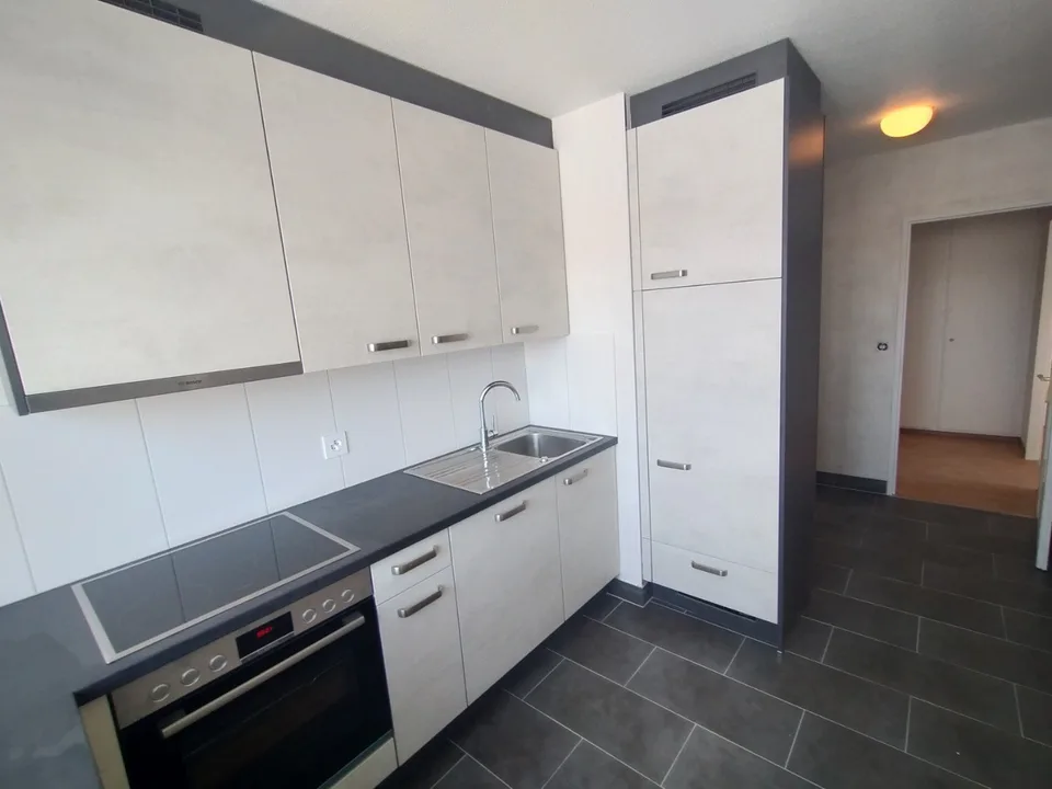 Im Zentrum von Malley prächtiges renoviertes Apartment mit Balkon und Aussicht