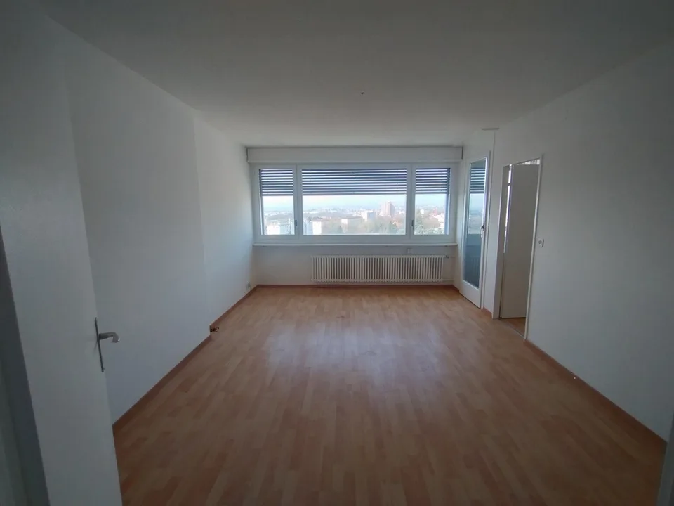 Im Zentrum von Malley prächtiges renoviertes Apartment mit Balkon und Aussicht