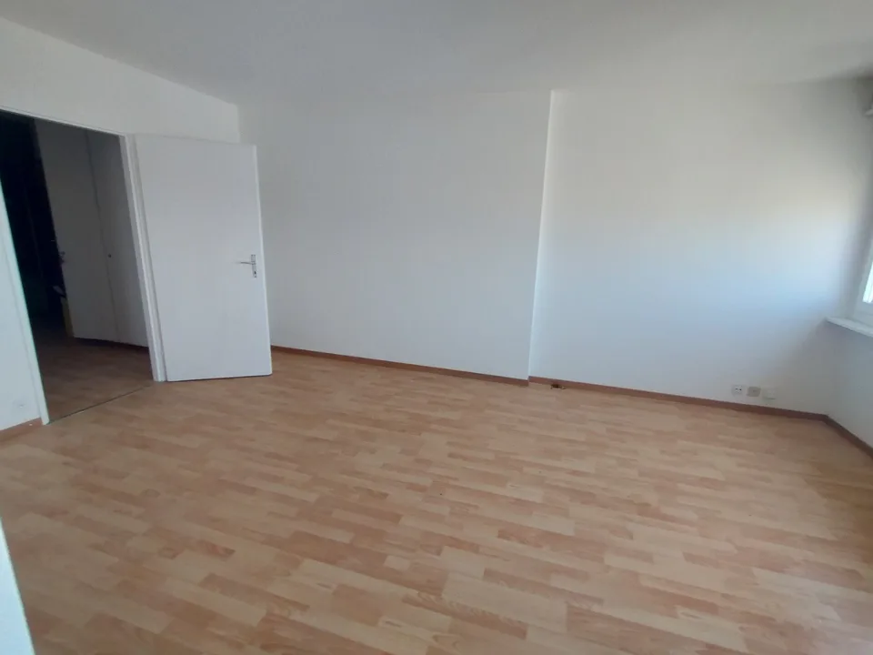 Im Zentrum von Malley prächtiges renoviertes Apartment mit Balkon und Aussicht
