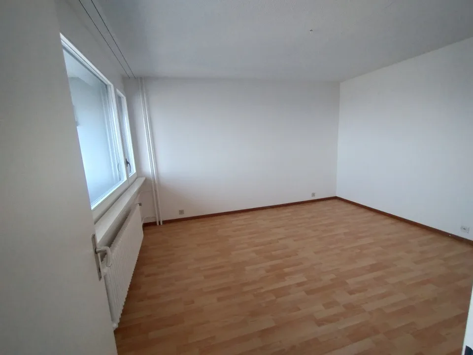 Im Zentrum von Malley prächtiges renoviertes Apartment mit Balkon und Aussicht