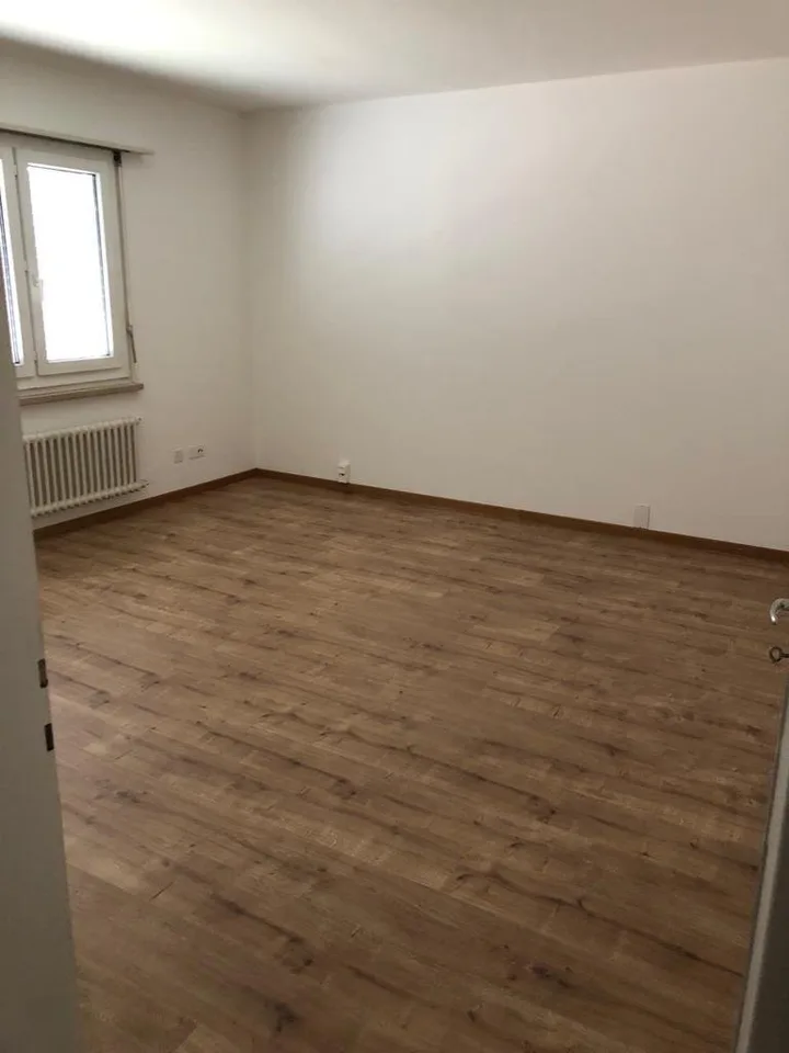 Thun - La porte du Haut-Pays bernois - RÉNOVATION À MOYEN TERME EN ATTENTE !