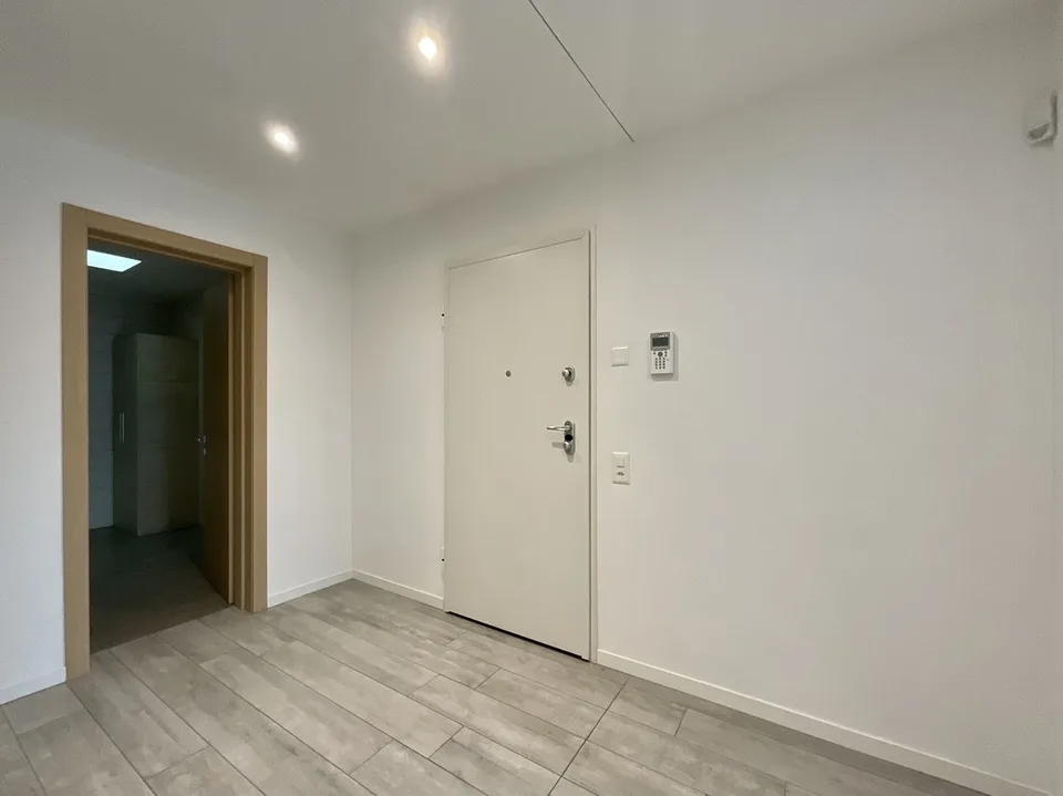 CASLANO - GROßZÜGIGES 6.5 ZIMMER-WOHNUNG MIT SCHWIMMBAD ZUM VERKAUF