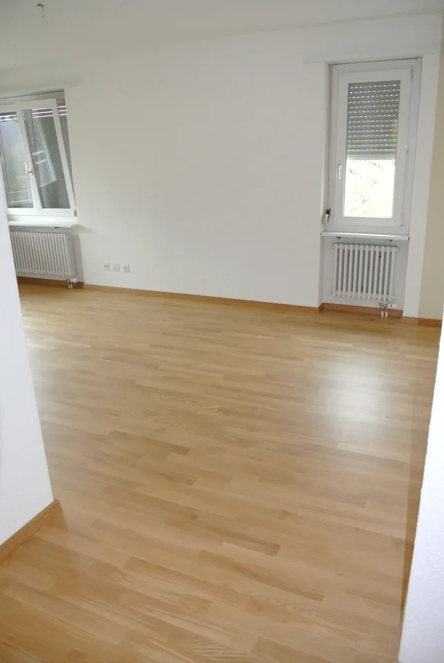 Bel appartement lumineux, 2,5 pièces
