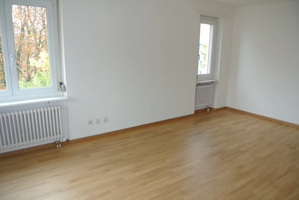 Bel appartement lumineux, 2,5 pièces