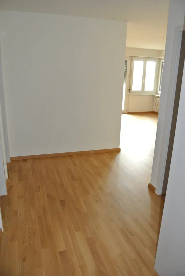 Bel appartement lumineux, 2,5 pièces