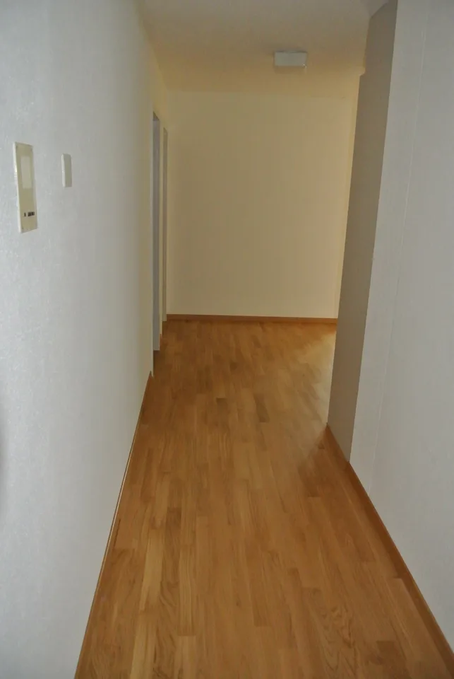Bel appartement lumineux, 2,5 pièces