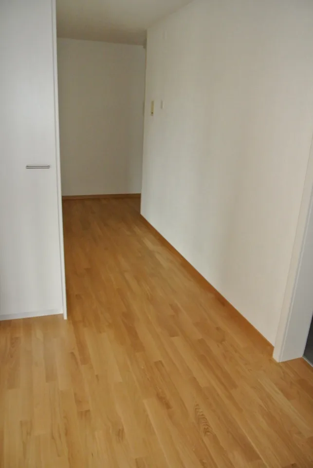 Bel appartement lumineux, 2,5 pièces