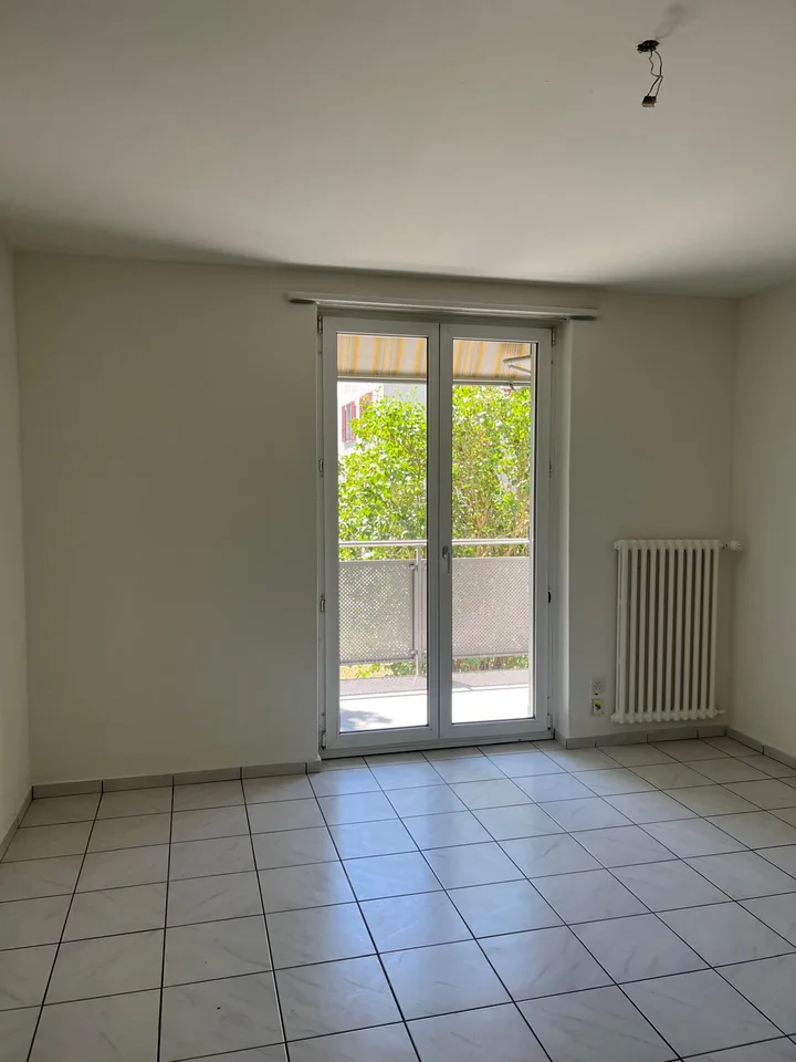 Bright 3.5-room apartment with balcony - new kitchen