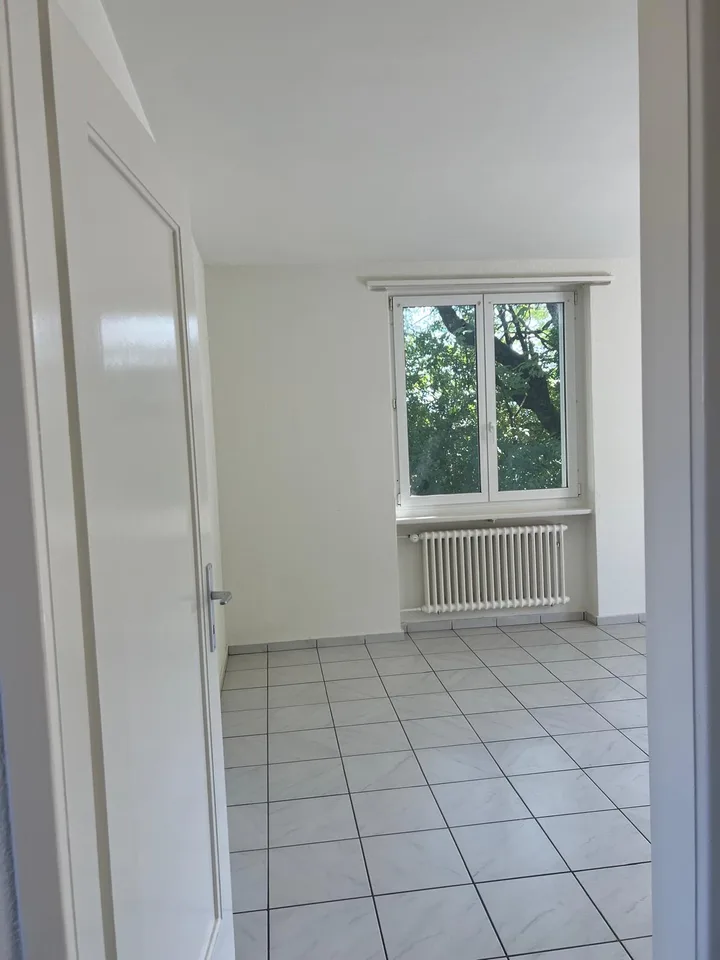 Bright 3.5-room apartment with balcony - new kitchen