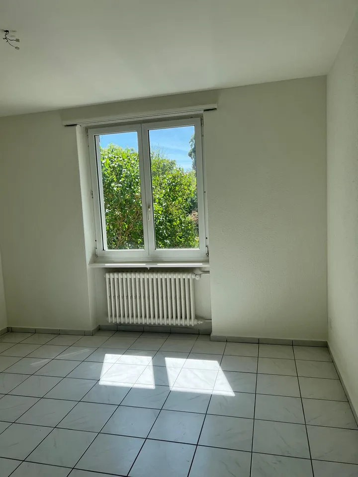 Bright 3.5-room apartment with balcony - new kitchen