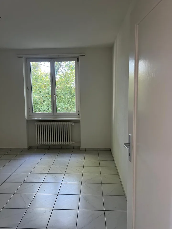 Bright 3.5-room apartment with balcony - new kitchen