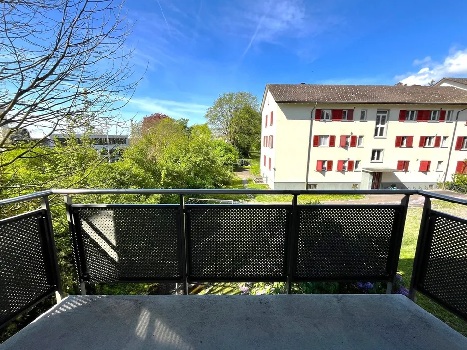 Bright 3.5-room apartment with balcony - new kitchen