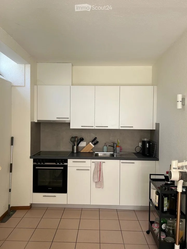 Spacious studio with terrace
