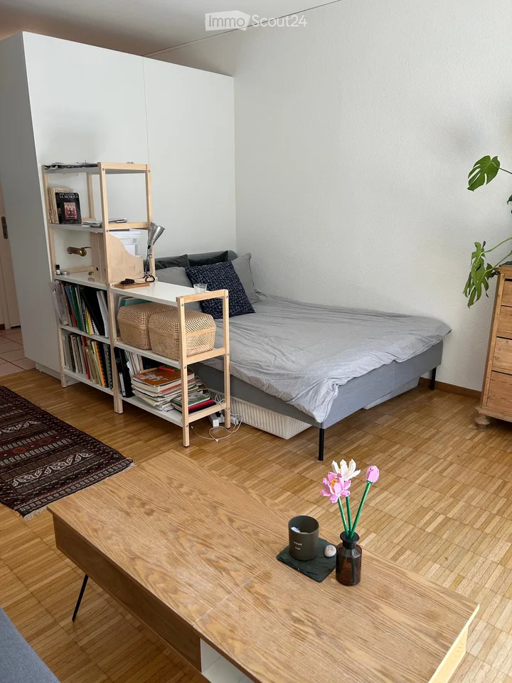 Spacious studio with terrace