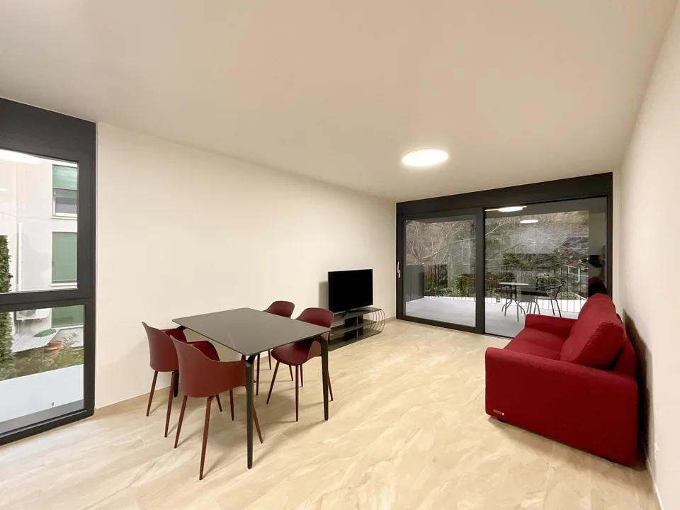 SORENGO - RENTAL OF NEW 2.5 ROOMS WITH LARGE TERRACE