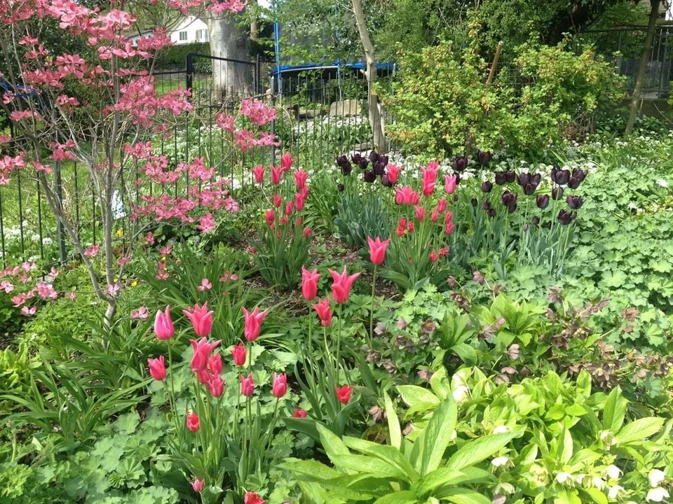 Flair de la vieille ville et générosité – vivre dans la historique « Felsenburg » avec utilisation du jardin