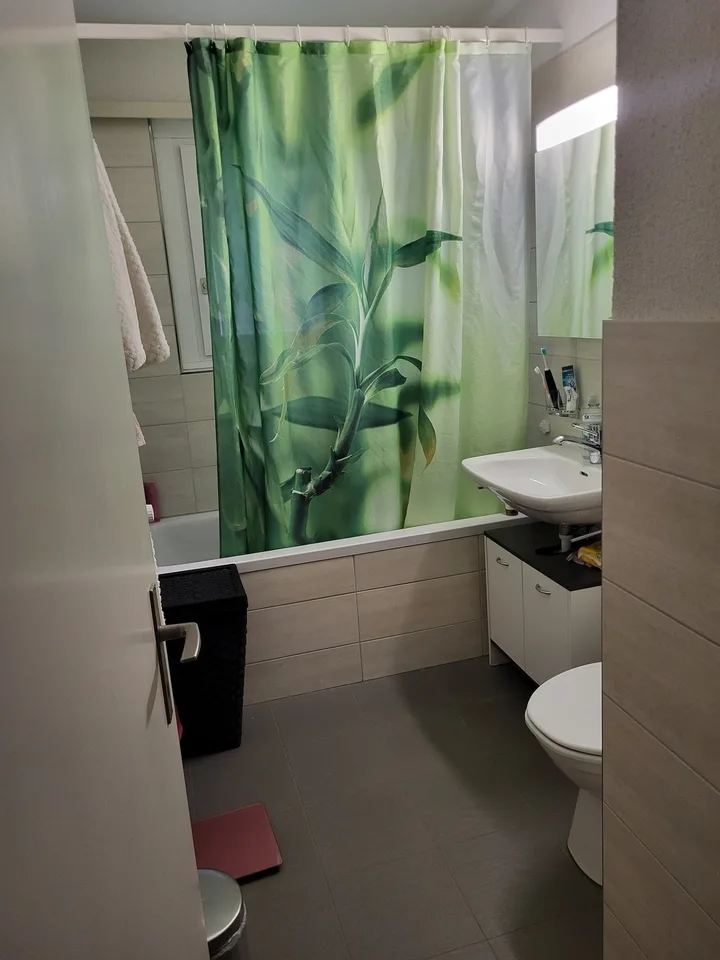 WG Zimmer in 3 Zimmerwohnung befristet unterzuvermieten