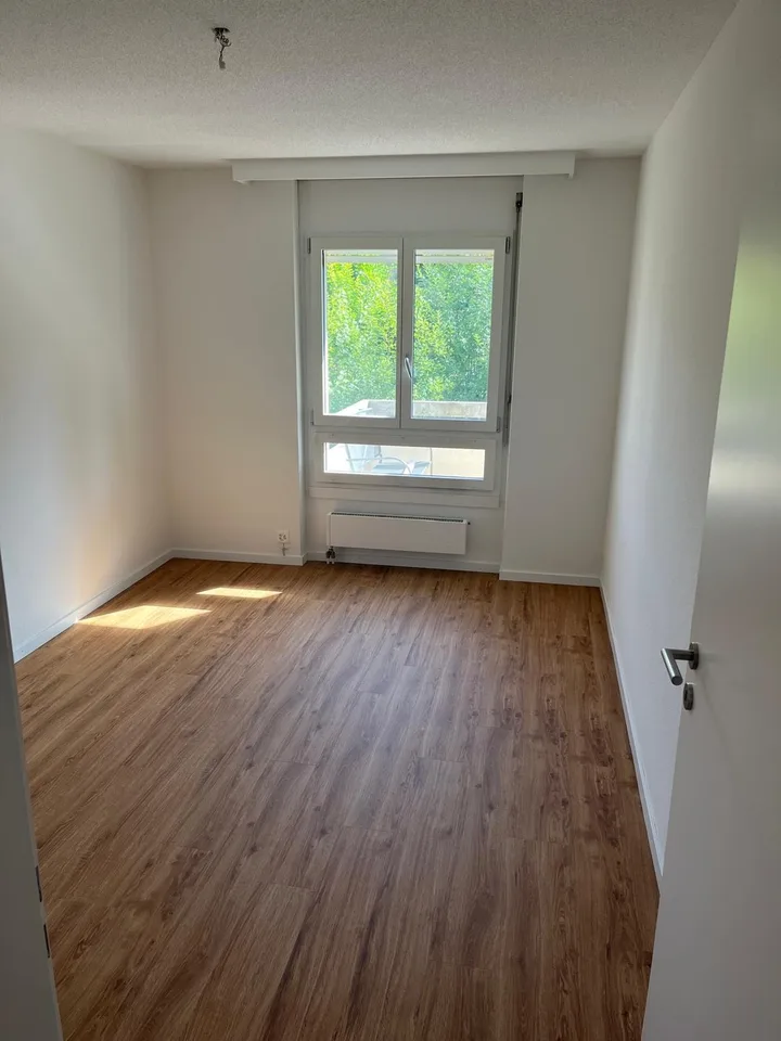 Mitbewohner:in gesucht:)) Erstbezug nach Komplettrenovierung in Dübendorf