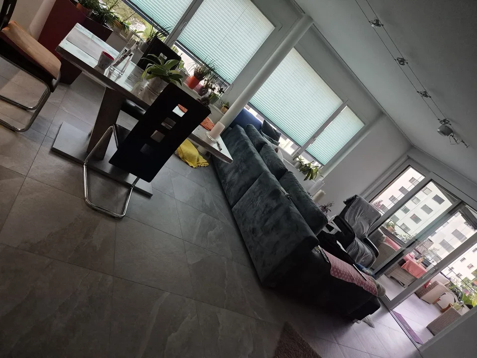 Room in shared apartment for non-smoking animal lover to rent for 1-2 months