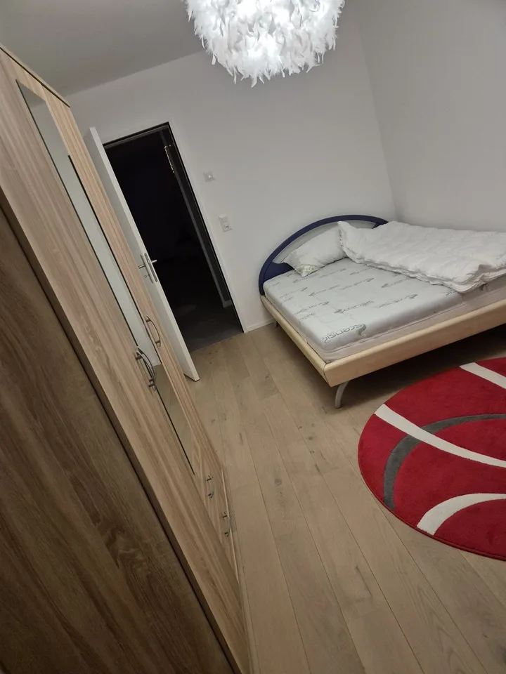 Room in shared apartment for non-smoking animal lover to rent for 1-2 months