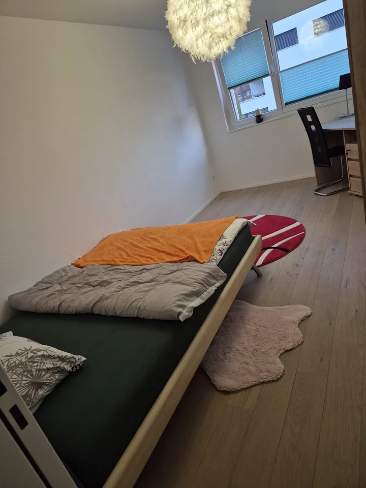 Room in shared apartment for non-smoking animal lover to rent for 1-2 months