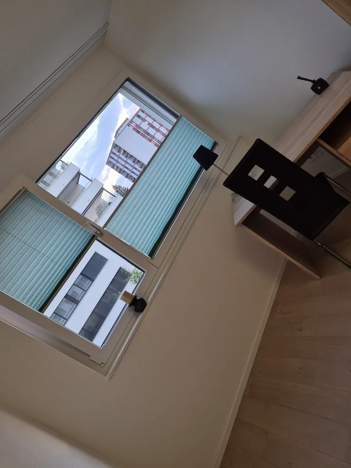 Room in shared apartment for non-smoking animal lover to rent for 1-2 months