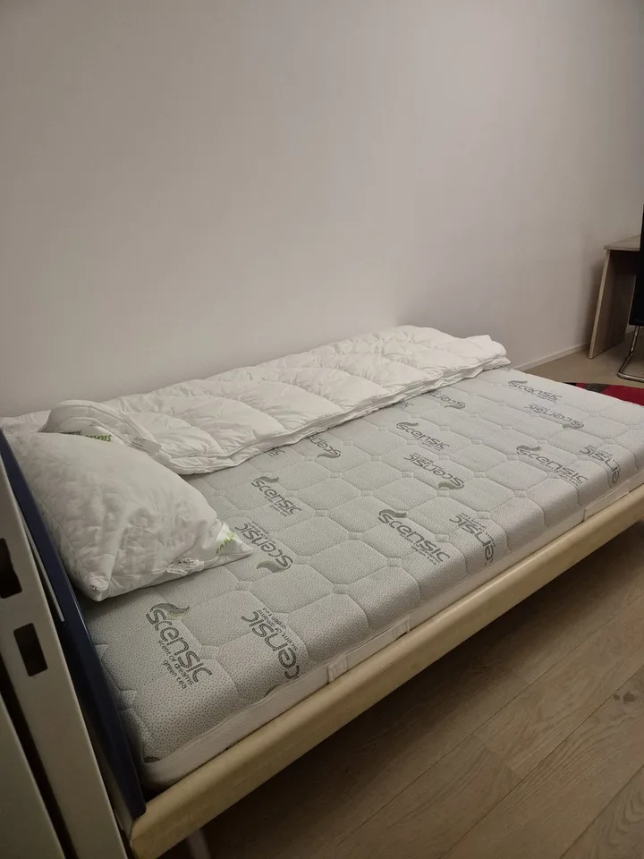 Room in shared apartment for non-smoking animal lover to rent for 1-2 months