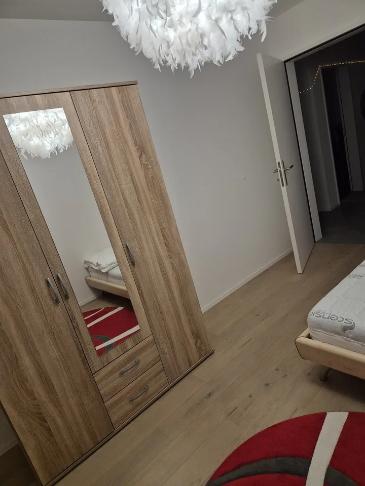 Room in shared apartment for non-smoking animal lover to rent for 1-2 months