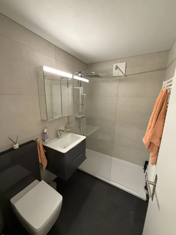 2,5-Zimmer Wohnung Affoltern am Albis