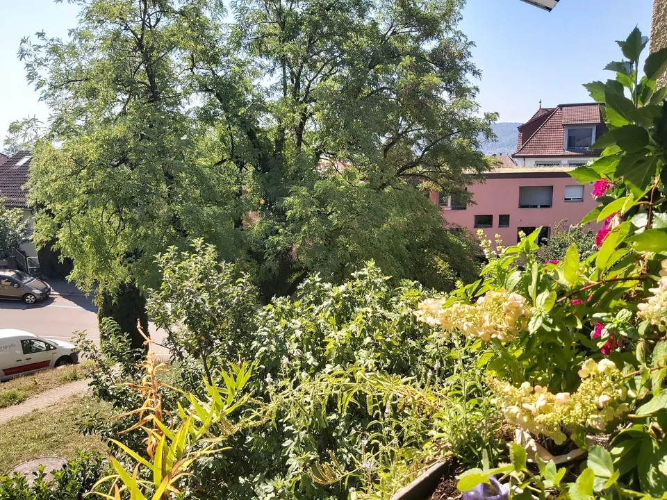 Ampio, appartamento tranquillo in zona verde